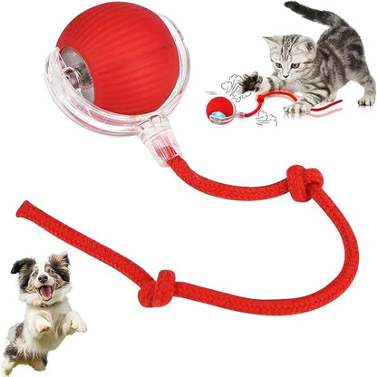 Cat Toy - Cat Toys for Indoor Cats Smart Chewy Viral Rolling Ball with Tail, Bird Sound, USB Rechargeable Automatic Rotating Ball