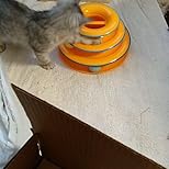 Playing Tower for Pet (Multicolor)