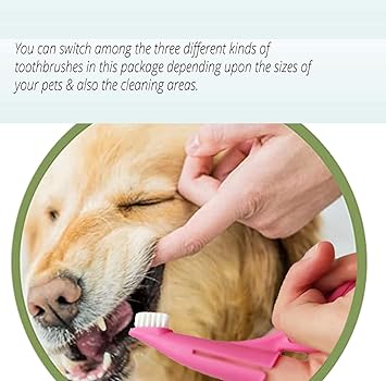 ABS Plastic Dog Soft Toothbrush (Multicolor)