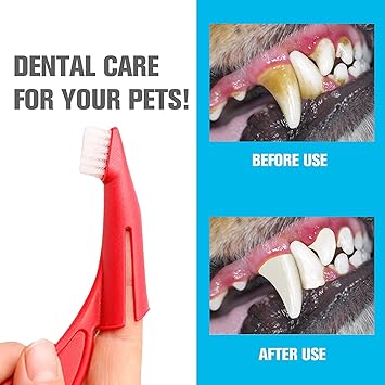 ABS Plastic Dog Soft Toothbrush (Multicolor)